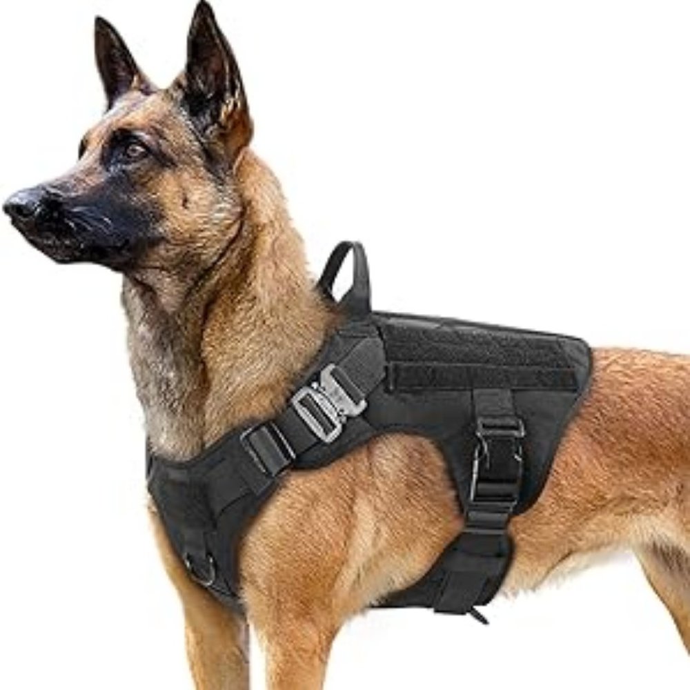 Rabbitgoo Tactical Dog Harness for Dogs With Handle
